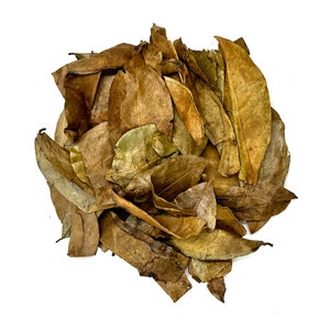 May include: A dense cluster of dried, fallen leaves in various shades of brown, tan, and muted olive green. The leaves are brittle, with visible veins, curled edges, and irregular shapes, piled together to form a rounded, textured organic mass.