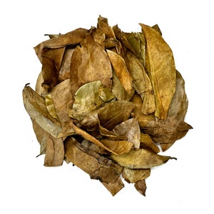 Feuilles de corossol séchées Feuilles de thé de corossol graviola naturel, hojas de guanabana image 8