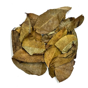 May include: A collection of dried, oval-shaped leaves in various shades of brown, tan, and ochre. The leaves exhibit a brittle, papery texture with visible veins and irregular edges, layered together to form a dense, overlapping cluster.