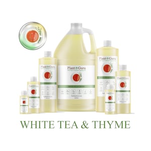 May include: A collection of Plant Guru brand fragrance oils in various sizes, labeled "White Tea & Thyme." The bottles are filled with a pale yellow liquid and feature a red circular logo with a sprig of thyme. The text "White Tea & Thyme" is displayed below.