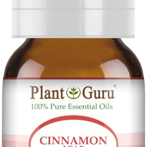 May include: A brown glass bottle of Plant Guru Cinnamon Leaf essential oil. The label includes the text "100% Pure Essential Oils" and "Cinnamon Leaf". The bottle contains 1/6 fl oz (5ml) of therapeutic grade oil.