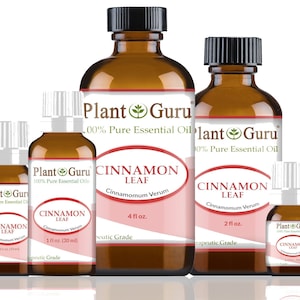 Cinnamon Leaf Essential Oil 100% Pure Natural Therapeutic Grade, Cinnamomum Verum, Bulk Wholesale For Skin, Soap, Candle and Diffuser