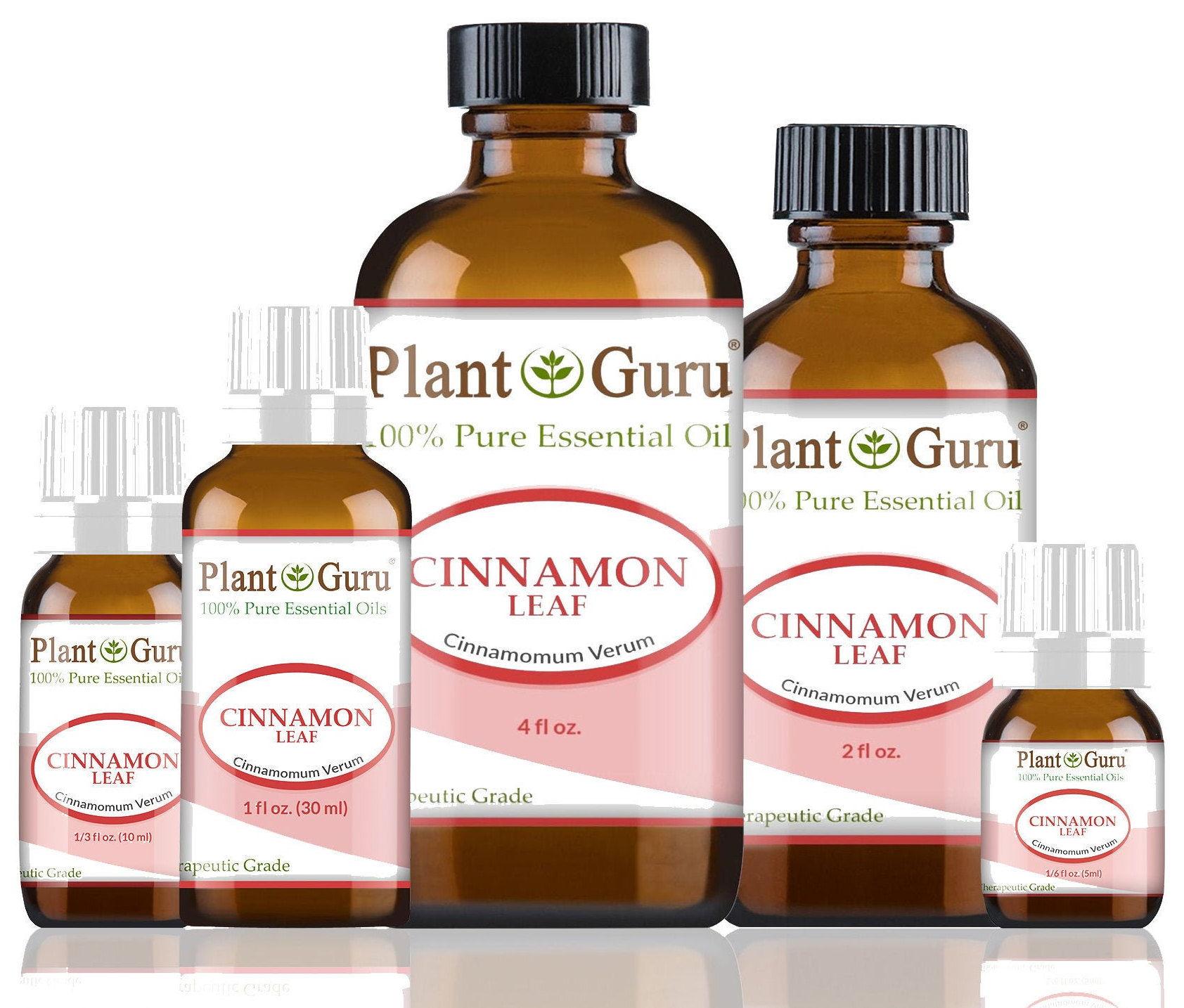 100% Pure Cinnamon Essential Oil - Premium Cinnamon Oil for Aromatherapy,  Massage, Topical & Household Uses - 1 fl oz (Cinnamon)
