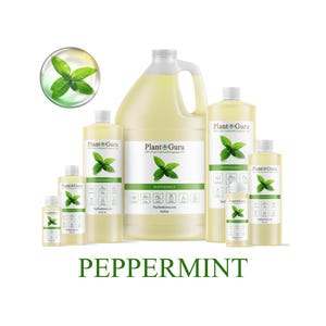 May include: A collection of Plant Guru peppermint fragrance oil bottles of various sizes, including a gallon jug, with a green peppermint leaf logo. The word "PEPPERMINT" is displayed in green text below the bottles.