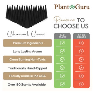 Op de afbeelding: Een verzameling zwarte houtskoolkegels. De afbeelding bevat de tekst "Plant Guru" en "Charcoal Cones". De tekst benadrukt productkenmerken zoals "Premium Ingredi&euml;nten" en "Gemaakt in de VS".