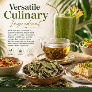May include: A wooden bowl filled with dried soursop leaves, a glass teapot containing steeped tea, a green smoothie with a pineapple slice, and a plate with a dessert. Text reads: Versatile Culinary Ingredient, Premium Dried Soursop Leaves.