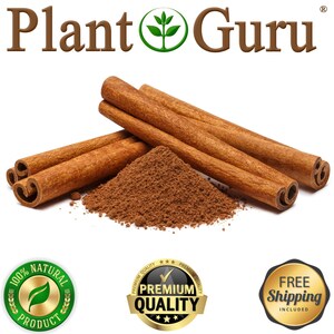 May include: A close-up of cinnamon sticks and ground cinnamon. The image features several whole cinnamon sticks and a pile of ground cinnamon, all in shades of brown. The text "Plant Guru" is at the top of the image.