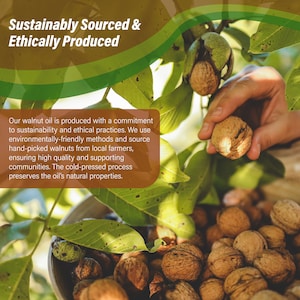 May include: A close-up of walnuts in a bowl, with a hand picking a walnut from a tree branch. The text "Sustainably Sourced & Ethically Produced" is at the top of the image. Our walnut oil is produced with a commitment to sustainability and ethical practices. We use environmentally-friendly methods and source hand-picked walnuts from local farmers, ensuring high quality and supporting communities. The cold-pressed process preserves the oil's natural properties.
