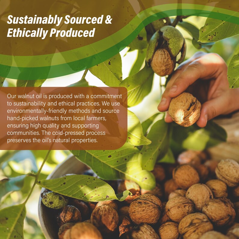 May include: A close-up of walnuts in a bowl, with a hand picking a walnut from a tree branch. The text "Sustainably Sourced & Ethically Produced" is at the top of the image. Our walnut oil is produced with a commitment to sustainability and ethical practices. We use environmentally-friendly methods and source hand-picked walnuts from local farmers, ensuring high quality and supporting communities. The cold-pressed process preserves the oil's natural properties.