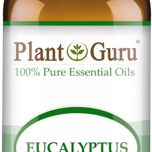 Eucalyptus Essential Oil 100% Pure Natural Therapeutic Grade, Eucalyptus Globules, Bulk Wholesale For Skin, Soap, Candle and Diffuser 30 ml. / 1 fl oz.