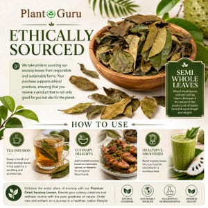 May include: A wooden bowl filled with dried soursop leaves, accompanied by text detailing ethical sourcing, usage instructions for tea, culinary dishes, and smoothies, and icons representing natural, sustainable, and additive-free quality.