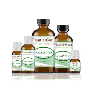 May include: Several amber glass bottles of eucalyptus essential oil are displayed. The bottles vary in size, with black caps and white labels. The labels read "Plant Guru" and "Eucalyptus Globules". The largest bottle is labeled as 4 fl oz.