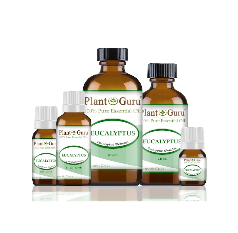May include: Several amber glass bottles of eucalyptus essential oil are displayed. The bottles vary in size, with black caps and white labels. The labels read "Plant Guru" and "Eucalyptus Globules". The largest bottle is labeled as 4 fl oz.