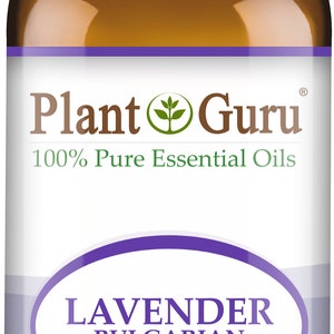 Op de afbeelding: Een bruine glazen fles Plant Guru Lavendel Bulgaarse etherische olie. Het etiket bevat de tekst "100% Pure Essential Oils" en "30 ml". De fles heeft een witte dop.