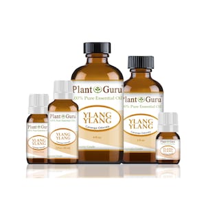 May include: A collection of amber glass bottles of Ylang Ylang essential oil, labeled "Plant Guru." The bottles vary in size, with black and white caps, and feature the text "Cananga Odorata."