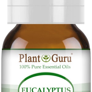 Eucalyptus Essential Oil 100% Pure Natural Therapeutic Grade, Eucalyptus Globules, Bulk Wholesale For Skin, Soap, Candle and Diffuser 5 ml. / .17 fl oz.