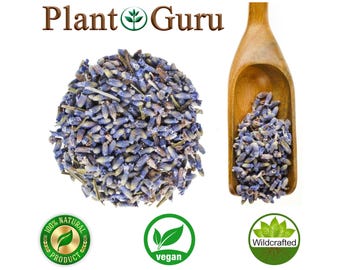 Lavender Flower Buds Dried Fresh Bulk Wholesale Lavandula Angustifolia