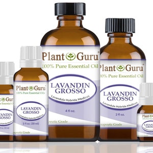 Lavandin Grosso Essential Oil 100% Pure Natural Therapeutic Grade, Lavandula Hybrida Medicus, Bulk For Skin, Soap, Candle and Diffuser