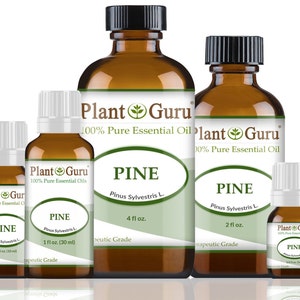 May include: Four amber glass bottles of Plant Guru Pine essential oil, with white labels and black caps. The bottles are labeled with the text "Plant Guru 100% Pure Essential Oil Pine Pinus Sylvestris L. Therapeutic Grade" and the sizes 1 fl oz, 2 fl oz, 4 fl oz.