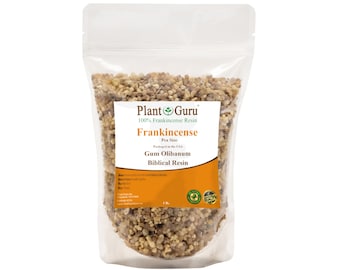 Frankincense Resin - Pea Size Resin Incense - Gum Olibanum Tear - Boswellia Papyrifera -  Aromatic Gum Wicca Bulk Wholesale All Sizes