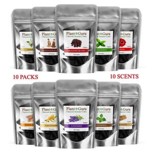 100 Charcoal Incense Cones 1&quot; TOPFLOW Bulk Variety Set Assorted 10 Packs 10 Scents - Handmade Hand Dipped LOT