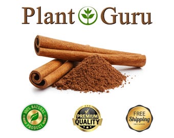 Cinnamon Powder 100% Pure Natural Cinnamomum Cassia Bulk Wholesale