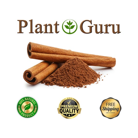 Cinnamon Powder 100% Pure Natural Cinnamomum Cassia Bulk Wholesale