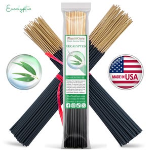 EUCALYPTUS Incense Sticks 11&quot; Handmade Hand Dipped Bulk Wholesale