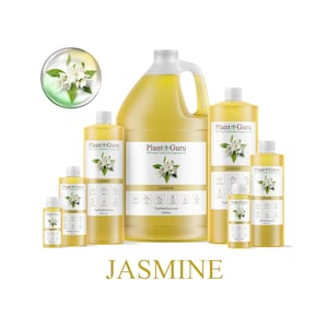 May include: Various sizes of jasmine-scented fragrance oil bottles from Plant Guru. The bottles are yellow and white, with a white label and a jasmine flower graphic. The largest bottle is a gallon, and the smallest is a small sample size. The word "JASMINE" is at the bottom.