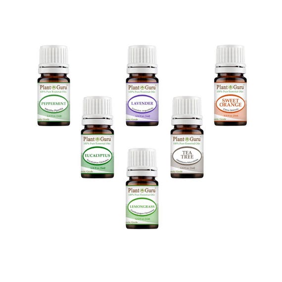 Top 6 Essential Oil Set Kit Variety 100 Pure Therapeutic Etsy