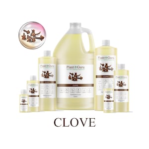 May include: Various sizes of clove-scented fragrance oil bottles from Plant Guru. The bottles are filled with a light yellow liquid and feature a clove graphic. The word "CLOVE" is printed on the bottles and at the bottom of the image.