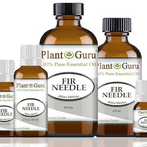 May include: A collection of amber glass bottles of varying sizes, labeled "Plant Guru 100% Pure Essential Oil FIR NEEDLE Abies Sibirica". The bottles range from 1/3 fl oz to 4 fl oz, with white labels and black caps. The product is described as therapeutic grade.