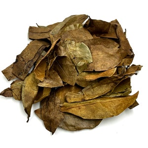 May include: A pile of dried, brown, oval-shaped leaves with visible veins and textured surfaces. The leaves vary in shade from light tan to deep brown, showing curled edges and brittle, organic structures stacked together in a dense cluster.
