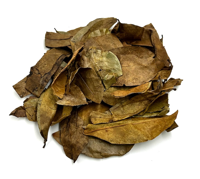 May include: A pile of dried, brown, oval-shaped leaves with visible veins and textured surfaces. The leaves vary in shade from light tan to deep brown, showing curled edges and brittle, organic structures stacked together in a dense cluster.