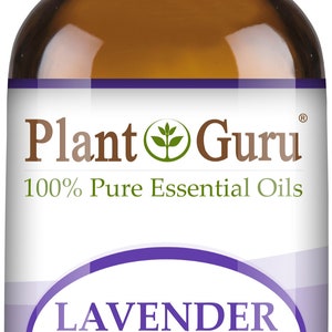 Puede incluir: Botella de vidrio marr&oacute;n de aceite esencial Plant Guru Lavanda Fina Francesa. La etiqueta incluye el texto "100% Pure Essential Oils" y "Lavandula Angustifolia". La botella contiene 10 ml.