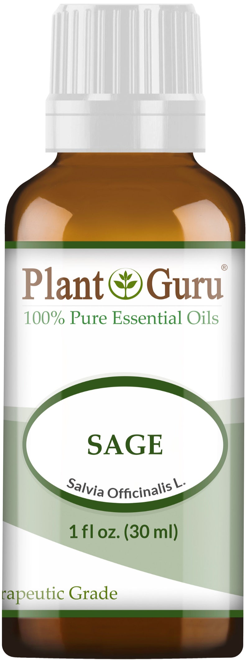 Sage Essential Oil 100% Pure Natural Therapeutic Grade, Salvia Officinalis, Bulk Wholesale Available For Skin, Soap, Candle and Diffuser 30 ml. / 1 fl oz.