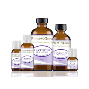 May include: A collection of amber glass bottles of lavender essential oil. The bottles vary in size, with black caps and white labels that read "LAVENDER FINE FRENCH" and "Plant Guru". The labels also indicate the volume in fluid ounces.