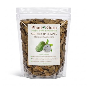 May include: A clear plastic stand-up pouch filled with dried brown soursop leaves. The label reads Plant Guru Natural Herbs & Botanicals, SOURSOP LEAVES, Hojas de Guanabana, Annona Muricata, 100% Natural Soursop Graviola Leaves, 8 oz. / 226.8 Grams.