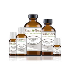 May include: Several amber glass bottles of ginger root essential oil. The bottles vary in size, with black caps and white labels. The labels read "Plant Guru" and "Ginger Root, Zingiber Officinalis". The largest bottle is labeled as 4 fl oz.