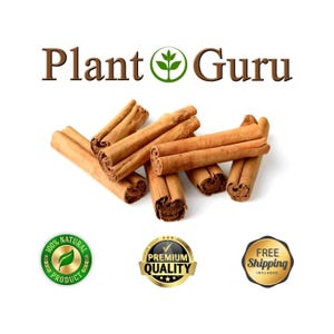 Op de afbeelding: Een verzameling kaneelstokjes, lichtbruin van kleur, gerangschikt op een witte achtergrond. De afbeelding bevat de tekst "Plant Guru" en zegels die een natuurlijk product en premium kwaliteit aangeven.