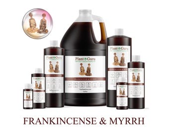 Puede incluir: Una colección de productos Frankincense & Myrrh de Plant Guru en varios tamaños, desde botellas pequeñas hasta un galón. Las botellas son de color marrón oscuro con etiquetas blancas. El texto "Frankincense & Myrrh" es visible.