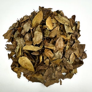 May include: A dense, circular pile of dried, fallen leaves in various shades of brown, tan, and ochre. The leaves are brittle, with visible veins and curled edges, creating a textured, organic heap of foliage gathered together in a cluster.