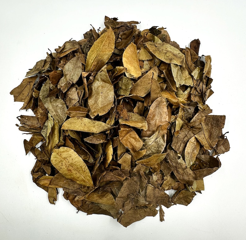 May include: A dense, circular pile of dried, fallen leaves in various shades of brown, tan, and ochre. The leaves are brittle, with visible veins and curled edges, creating a textured, organic heap of foliage gathered together in a cluster.