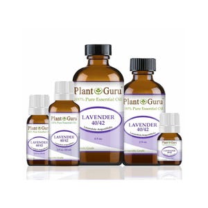 May include: A collection of brown glass bottles of lavender essential oil, labeled "Plant Guru" and "Lavender 40/42." The bottles vary in size, with white and purple labels. The essential oil is labeled as 100% pure and therapeutic grade.
