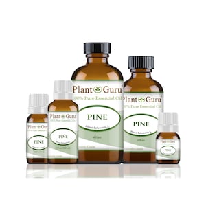 May include: A collection of amber glass bottles of Plant Guru Pine essential oil. The bottles vary in size, with labels displaying "PINE" and "Pinus Sylvestris L." along with the volume in fluid ounces and milliliters.