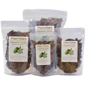 Dried Soursop Leaves - Natural Graviola Soursop Tea Leaves, Hojas de Guanabana