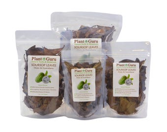 Dried Soursop Leaves - Natural Graviola Soursop Tea Leaves, Hojas de Guanabana
