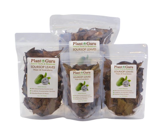 Dried Soursop Leaves - Natural Graviola Soursop Tea Leaves, Hojas de Guanabana