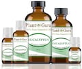 Eucalyptus Essential Oil 100% Pure Natural Therapeutic Grade, Eucalyptus Globules, Bulk Wholesale For Skin, Soap, Candle and Diffuser