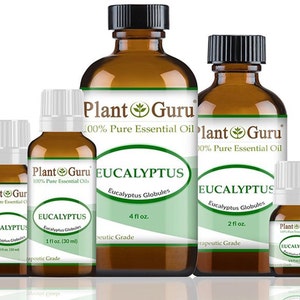 Eucalyptus Essential Oil 100% Pure Natural Therapeutic Grade, Eucalyptus Globules, Bulk Wholesale For Skin, Soap, Candle and Diffuser image 1